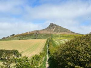 a field with a mountain in the background with a dirt road at Stables - Uk51829 in Great Ayton +14 photos
