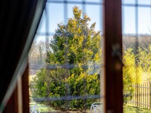 a view of a tree from a window at Bluebell Lodge-Uk32958 in Molash +24 photos