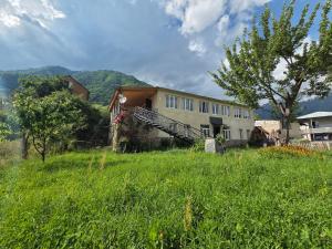 a house in the middle of a field of grass at Babale's guesthouse in Mestia in Mestia