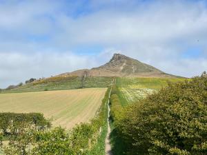 a hill with a dirt road leading to a mountain at Gardeners Cottage - Uk51831 in Great Ayton