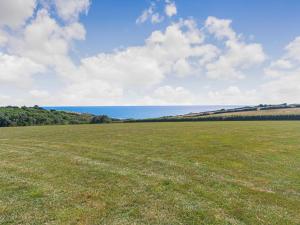 a field of grass with the ocean in the background at The Old Coach Garage in Gerrans