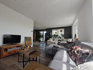 a living room with a couch and a tv at Villa shared Fieldsight Doornspijk - a shared villa no breakfast in Doornspijk