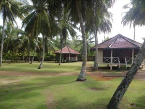 a resort with palm trees and a hammock in a yard at Coconut Grove Beach Cabanas in Hungama
