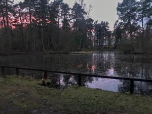 a pond with a fence in front of it at The Bunker in Otterburn +7 photos