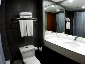 a bathroom with a toilet, sink and mirror at Hotel Diego de Almagro Providencia in Santiago