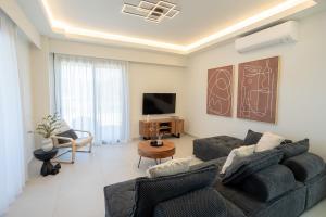 a living room with a couch and a tv at Forestbreeze in Metóchion