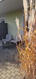 a living room with a couch and some grass at Pokoje Śpij-tu z jacuzzi in Mikołajki +98 photos