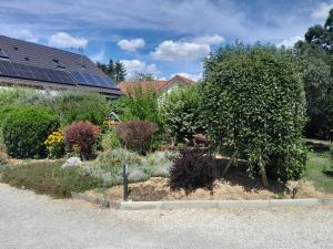 a garden in front of a house with a tree at T1 Clos-Edeen in Tréclun