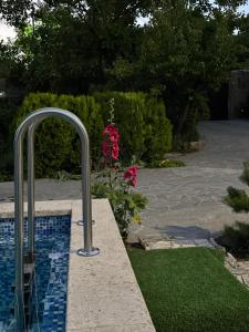 a swimming pool in a garden next to a yard with flowers at Guests house Qotukner in Karbi