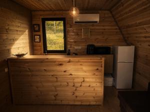a kitchen with a refrigerator and a window in a cabin at Asureti Horizon Cottage in Asuretʼi