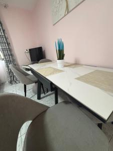 a meeting room with chairs and a table with a plant at Borsh Beach Apartment in Borsh