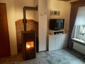 a fireplace in a living room with a television and a television at Gerkenhof in Olsberg