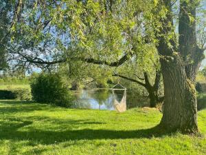 a net hanging from a tree next to a river at La morvandelle in Limanton