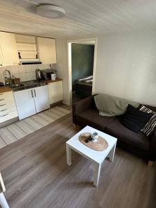 a living room with a couch and a table at Parkgatan in Vemdalen