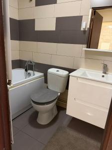 a bathroom with a toilet and a sink at GZP Residece Lugoj 22 in Lugoj