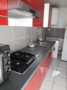 a kitchen with a stove and a sink at L'îlot vacances in Saint-Pierre