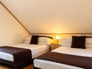two beds in a small room with a lamp at Daiwa House BBQ 琵琶湖徒步3分 無料駐車4台プロジェクター in Takashima
