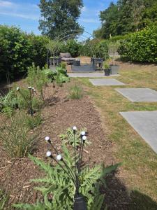 a garden with a plant in the middle at La caravane de l'enchanteresse in Philippeville