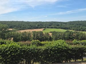 a view of the hills from the winery at La caravane de l'enchanteresse in Philippeville
