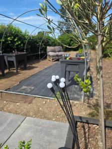 a garden with a patio with a table and a chair at La caravane de l'enchanteresse in Philippeville +2 photos