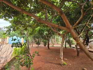 a group of trees with a bench in a park at Rose Petals in Sagana