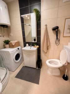 a bathroom with a toilet sink and a washing machine at Bo Apartment in Bečići