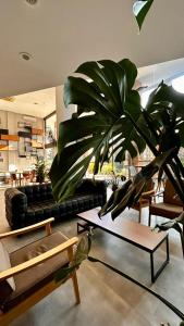 a living room with a couch and a plant at Hotel Lieto in Poços de Caldas