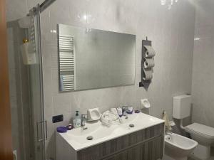 a bathroom with a sink and a toilet and a mirror at Villa Alessandra in Acqui Terme
