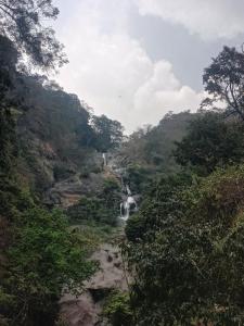 a waterfall in the middle of a valley with trees at D stays in Alāndurai