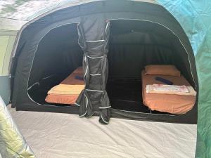 a black tent with two beds in it at Gio Camping Shala River in Mollʼ e Shoshit