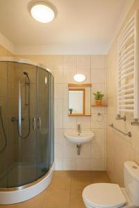 a bathroom with a shower and a toilet and a sink at Nad brzegiem Bałtyku in Sarbinowo