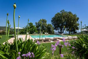 a pool in a garden with purple flowers at Villa da Angelo by Mmega in Aquaviva Picena +37 photos