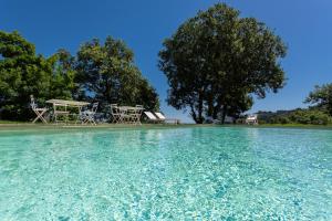 a view of a pool of water with trees in the background at Villa da Angelo by Mmega in Aquaviva Picena