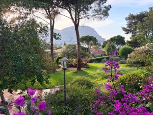 a garden with purple flowers and a street light at Park House in Mondello