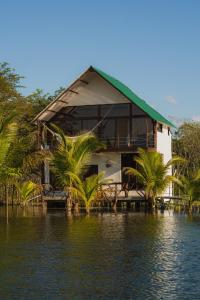 a house on the water with palm trees at Paraíso Nimah in Flores