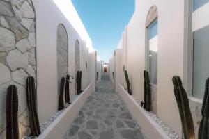 a hallway of a building with cacti on the walls at Maroko Jogja Villas With Privatepool in Ngaglik