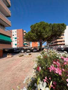 a tree in the middle of a parking lot with flowers at Punta Prima Sun & Sea Apartament in Punta Prima
