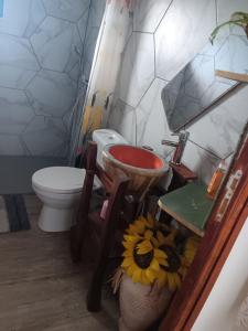a bathroom with a sink and a toilet and a sink at La baie rose in Sainte-Rose +12 photos