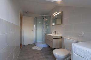 a bathroom with a shower and a toilet and a sink at Le Reflet de L'eau - Plages à proximité in Eu +7 photos