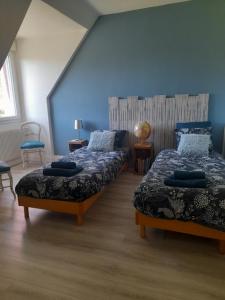 two beds in a room with blue walls at Chez Sally et Mario in Arnage