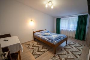 Un pat sau paturi într-o cameră la Pensiunea Viorica