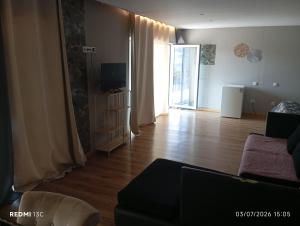 a living room with a couch and a television at Telhadosolitario in São Pedro da Cova