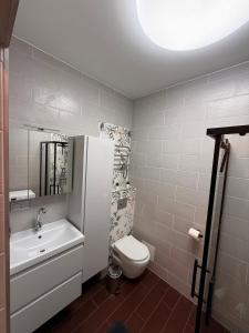 a bathroom with a white toilet and a sink and a sink at 2 room central apartment in Jelgava +19 photos