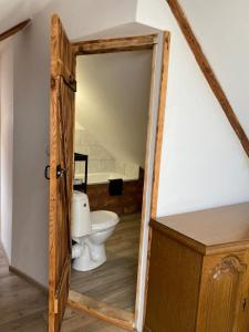 a bathroom with a toilet in a room at SARNOGRÓD - Agroturystyka z alpakami in Babięta