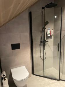 a bathroom with a toilet and a glass shower at Rom med eget bad til leie felles inngang Uten kjøkken og stue Kun overnatting in Tjørhom +14 photos