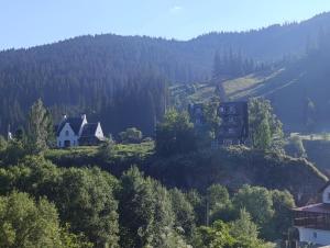 a house on the side of a hill with trees at La Malu' Bistritei - Cabana de pe Stanca in Cîrlibaba Nouă