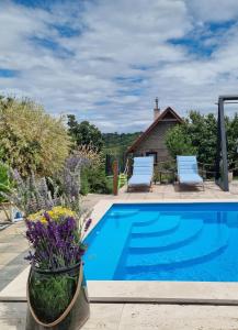 a swimming pool with two chairs and purple flowers at Vila Stancevic wellness in Sremski Karlovci +45 photos