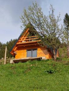 a cabin in a field with a tree at Hasan's Place Temnjaci in Plav