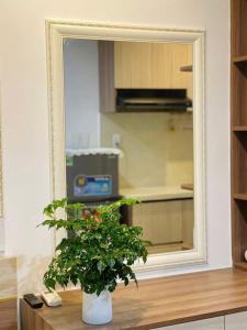 a mirror sitting on a table with a plant in front of it at Sencoco Hotel in Hà Quảng (4)