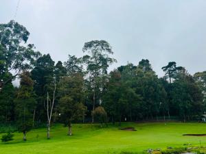 a green field with trees in the background at The Urban Hideout in Nuwara Eliya